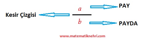 pay ve payda gösterimi matematiknehri.com